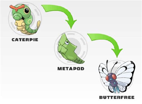 Pokémon: Caterpie,Metapod e Butterfree