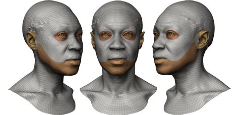 Female 3d Head Scan