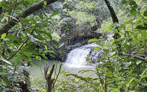 Twin Falls Maui, HI – Rainforest Remote Waterfall