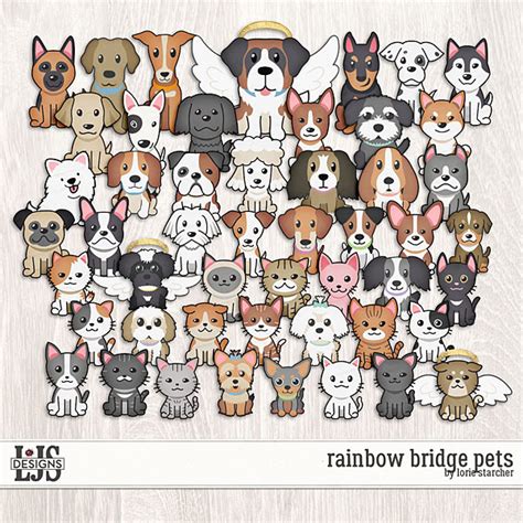 Rainbow Bridge Pets | Digital Art