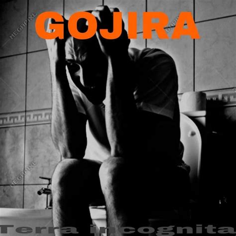 Bootleg gojira album art made by myself and a friend of mine : r/gojira