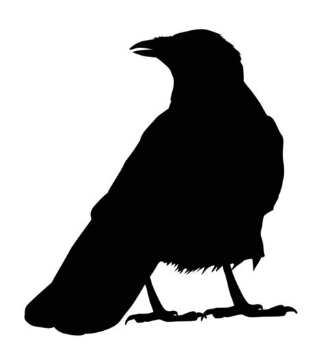 Raven silhouette Vector Art Stock Images | Depositphotos