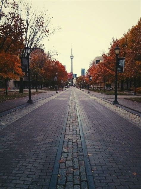 St. George campus, University of Toronto | Toronto photos, Toronto ...