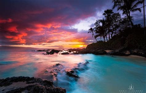 Sunset, palm trees, Hawaii, grapher, Kenji Yamamura, Maui Beach HD ...