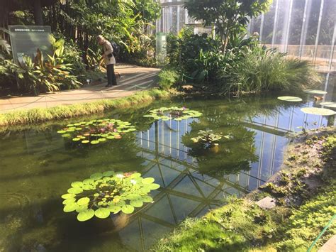 Green House in Shinjuku Gyoen | Goin’ Japanesque!