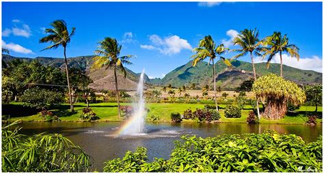 Central Maui Zipline Tour - Maui Goodness