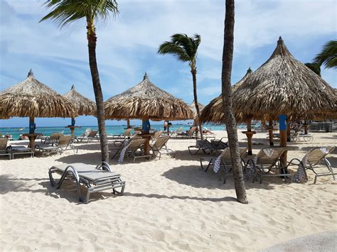 Hilton Aruba review - a Caribbean hotel for families - mummytravels