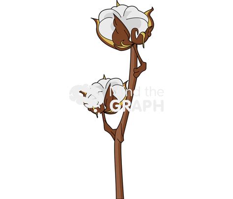 Cotton Plant PNG Transparent Images Free Download | Vector Files - Clip ...