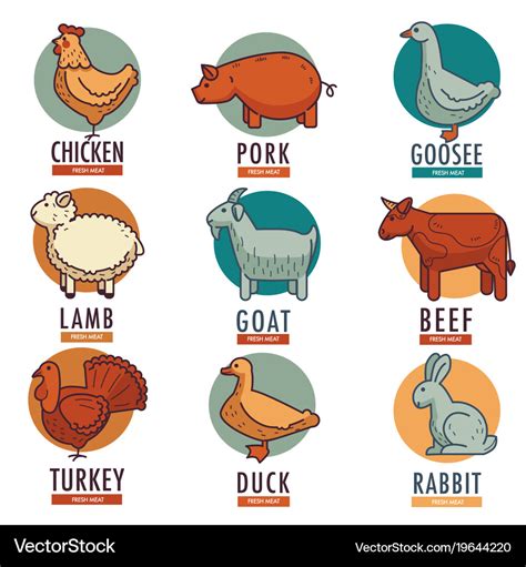 Meat and poultry flat animal birds Royalty Free Vector Image