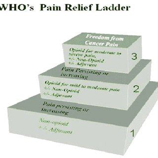 Pain Relief Ladder www.who.int/cancer/palliative/painladder/en ...