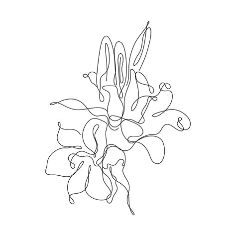 Abstract Flower Lily one line art drawing singulart aesthetic minimalist vector Isolated white ...