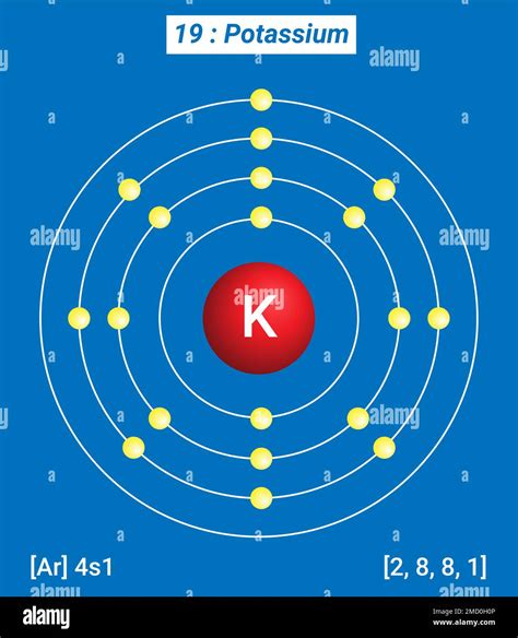 K Potassium, Periodic Table of the Elements, Shell Structure of Potassium Stock Vector Image ...