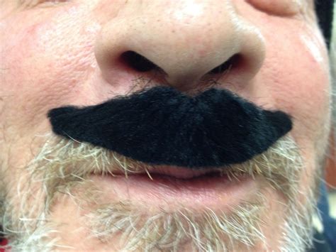 Whose Moustache Is It? (W.T. Townshend Public School)