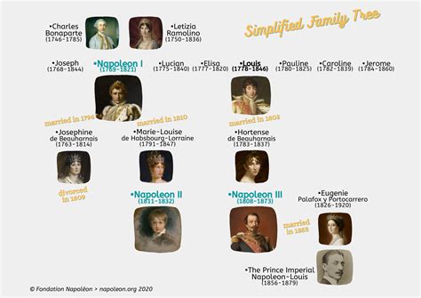 Imperial Family Tree - napoleon.org