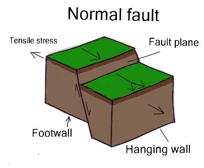 What are Earthquakes? • Environment Guide