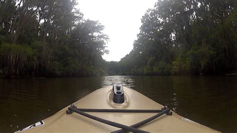 GOPRO Kayaking at Caddo Lake - YouTube