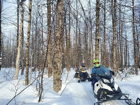 Northern Alaska Snowmobile Tour