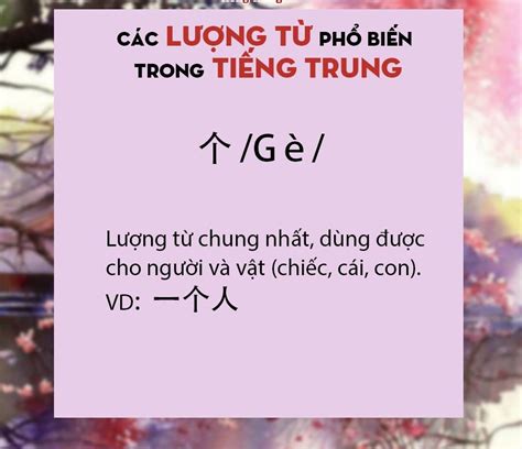 Tìm hiểu về lượng từ chỉ con vật trong tiếng Trung và cách sử dụng hiệu quả