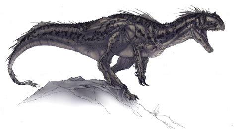 Megaraptor Pictures & Facts - The Dinosaur Database