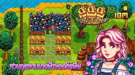 Stardew Valley Expanded - สวนกุหลาบนางฟ้าของโซเฟีย (Sophia) และกระปุก ...