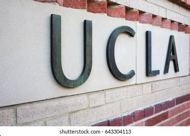 Ucla Logo Vectors Free Download