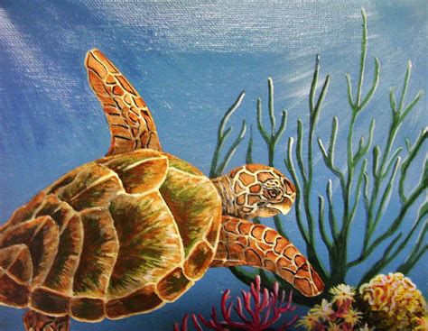 Sea Turtle Paintings