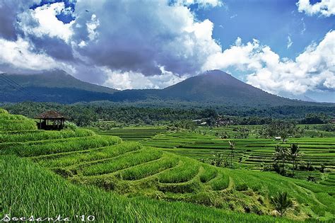 Gambar Pemandangan Gunung Dan Sawah Harian Nusantara Infrastructure ...