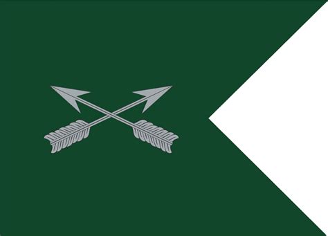 Special Forces Guidon Flag