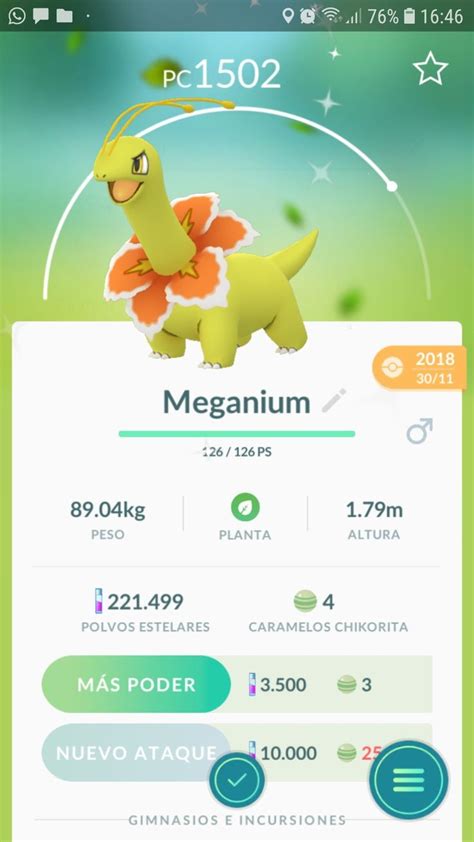 Meganium Shiny Pokemon Go | 150 pokemon, Pokemon, Shiny pokemon