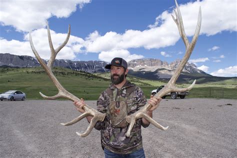 Antler Hunters, Artists Turn Elk Shed Into Money And Art | Montana ...