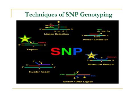 SNP Genotyping Technologies