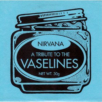 A Tribute To The Vaselines