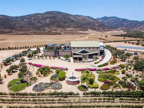 Complete Guide to the Valle de Guadalupe Wineries in Baja, Mexico