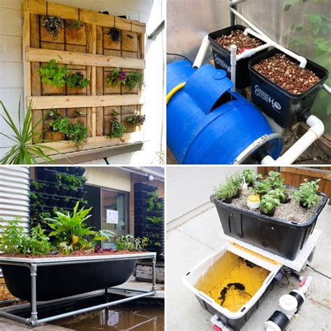 20 Useful DIY Aquaponics Systems and Plans