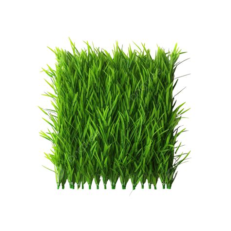 Green Grass Decoration, Grass, Green, Nature PNG Transparent Image and Clipart for Free Download