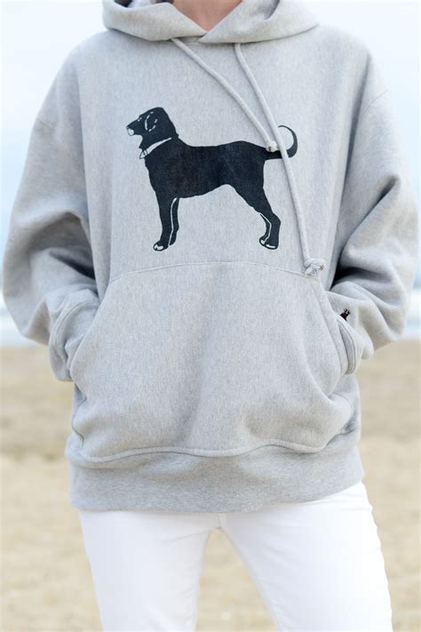 If We're Being Honest Here... | Sweatshirts, Dog sweatshirt, Dream clothes