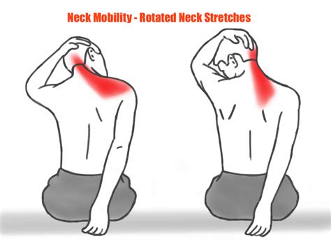 Effective Neck Stretching Exercises for Flexibility and Relief