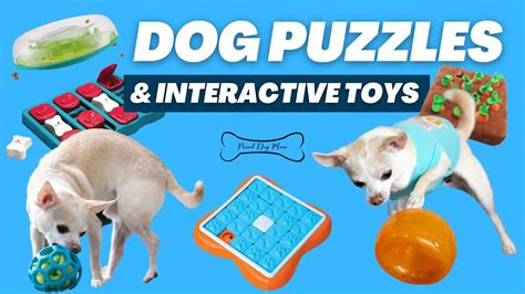 What Are The Best Dog Puzzle Toys
