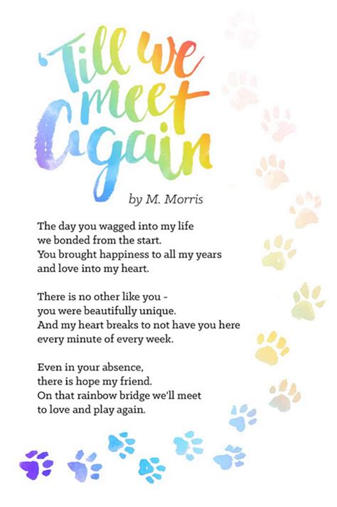 dogs rainbow bridge quotes - Corinne Hamer