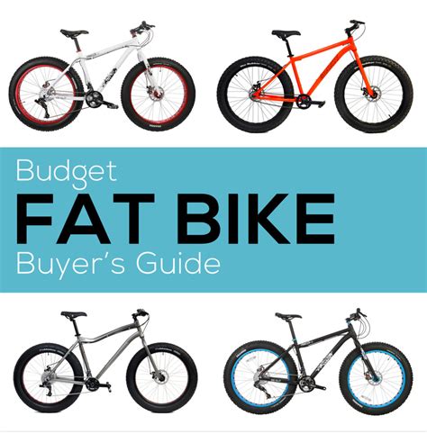 Best Entry Level Fat Tire Bike on Sale | www.c1cu.com