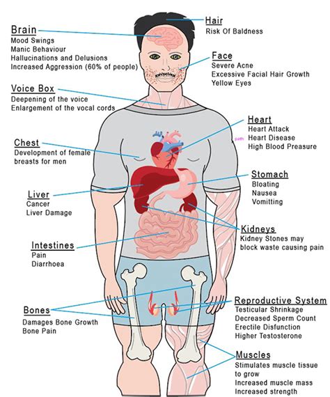 Steroid Side Effect Diagram :: Behance