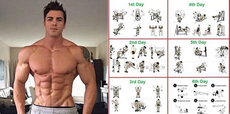 Total Body Workout Routine And How To Set Up Your Workout For Optimal Results - GymGuider.com