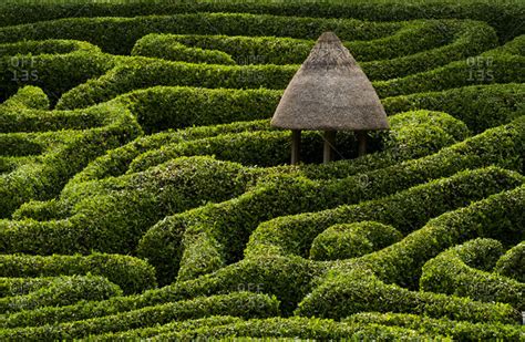 A maze in Glendurgan Garden on the Lizard peninsula in Cornwall, England, United Kingdom, Europe ...