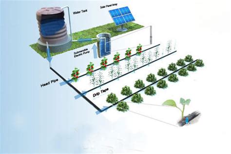 Solar-powered irrigation - Surya International