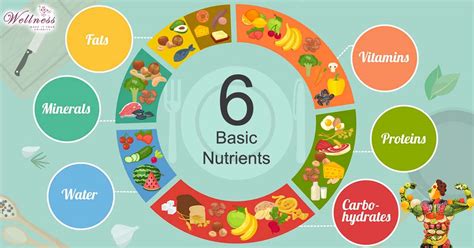 6 Basic Nutrients that Your Body Needs - Their Essential Functions