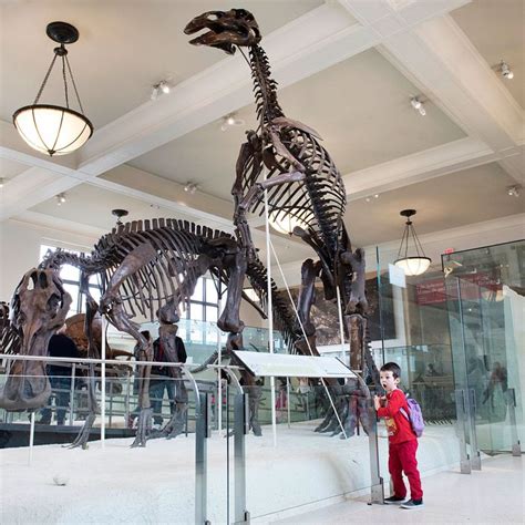 The Absolute Best Museums for Kids in NYC