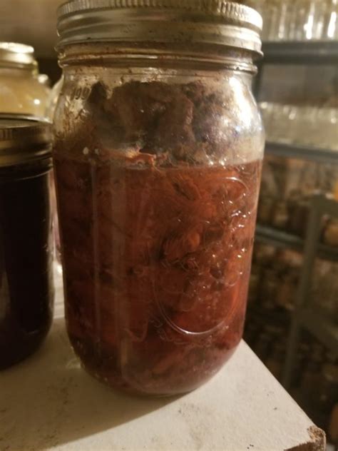 How to Go about Canning Venison: The Right Way to Preserve Deer Meat