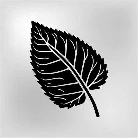 leaf silhouette vector black and white 19952733 Vector Art at Vecteezy