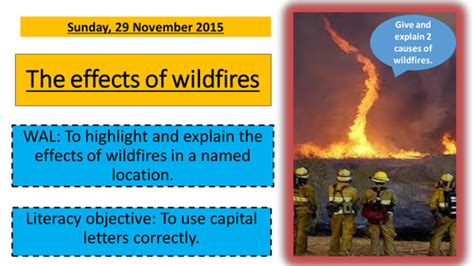 Effects of wildfires | Teaching Resources