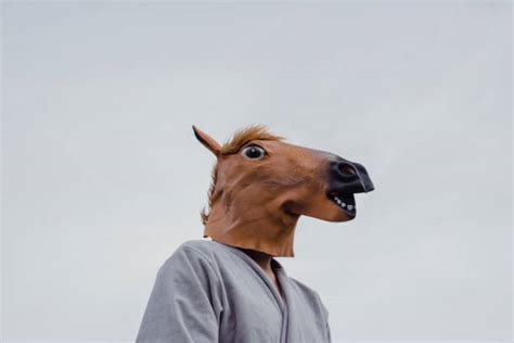 Top 60 Scared Horse Stock Photos, Pictures, and Images - iStock